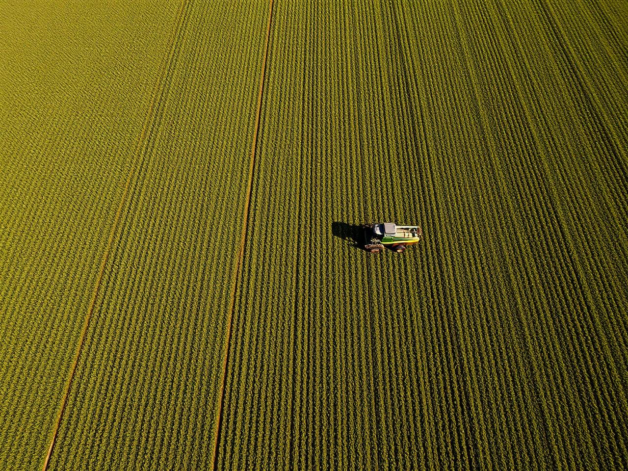 Vista aérea de un lote de soja con una cosechadora trabajando